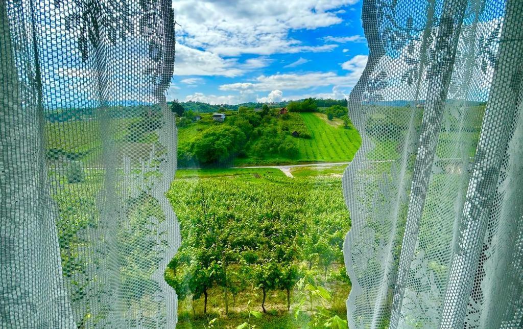 Apartment Wine Paradise Sveti Ivan Zelina Extérieur photo